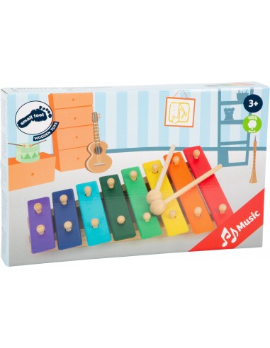 Xylophone multicolore