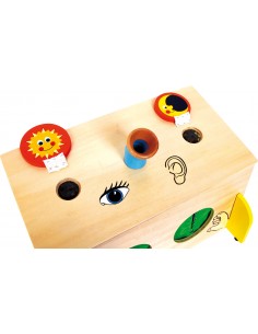 Boîte tactile "3 sens" 2