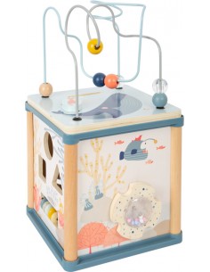 Cube de motricité monde... 2